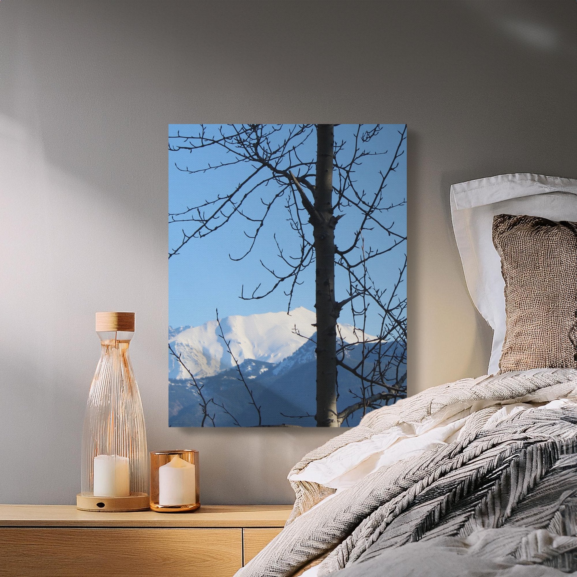 0049bfa2-e75e-405f-a5af-74617bbdcab6