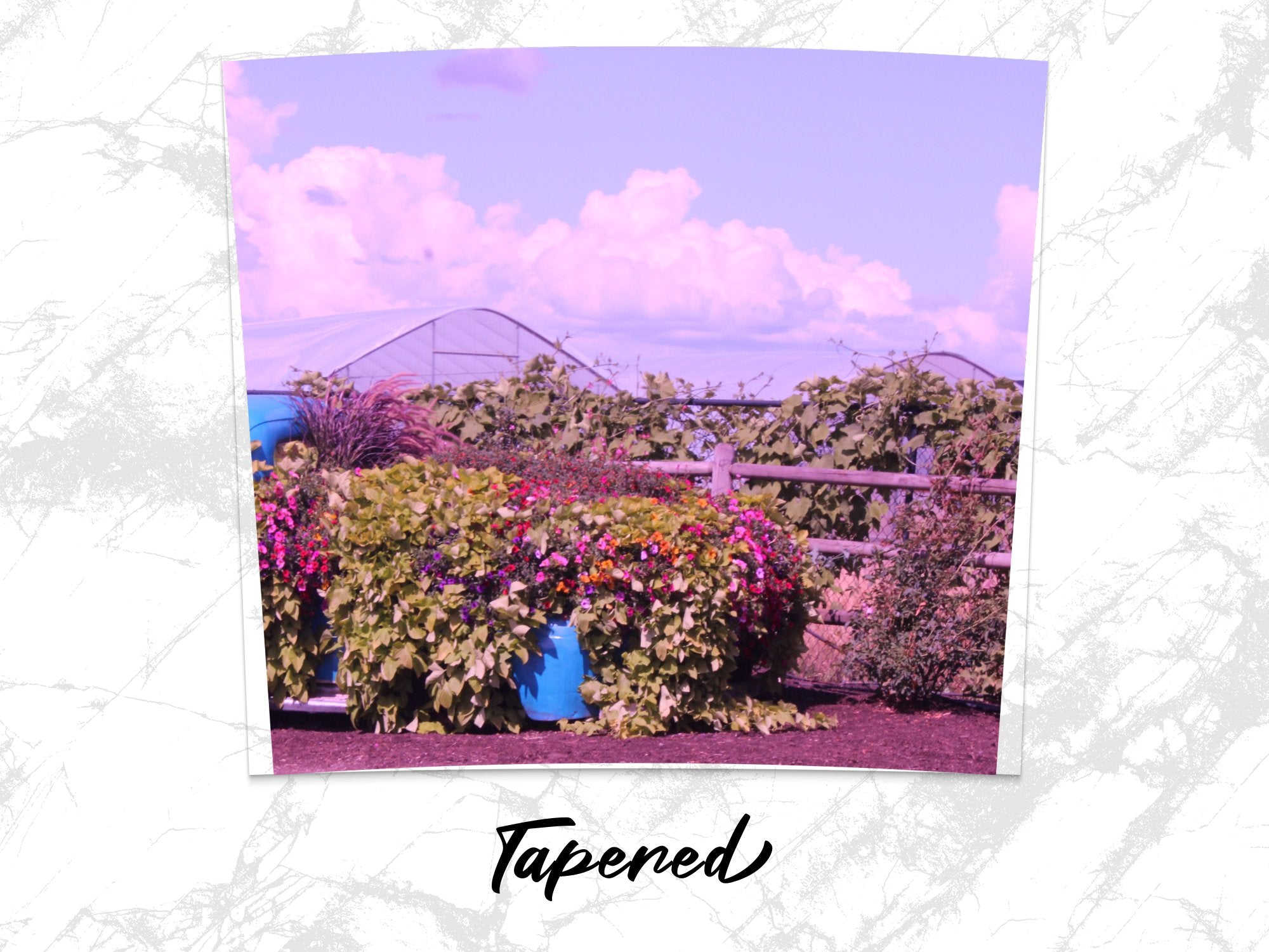 00b37049-597b-433b-9114-8ad31eed89cb