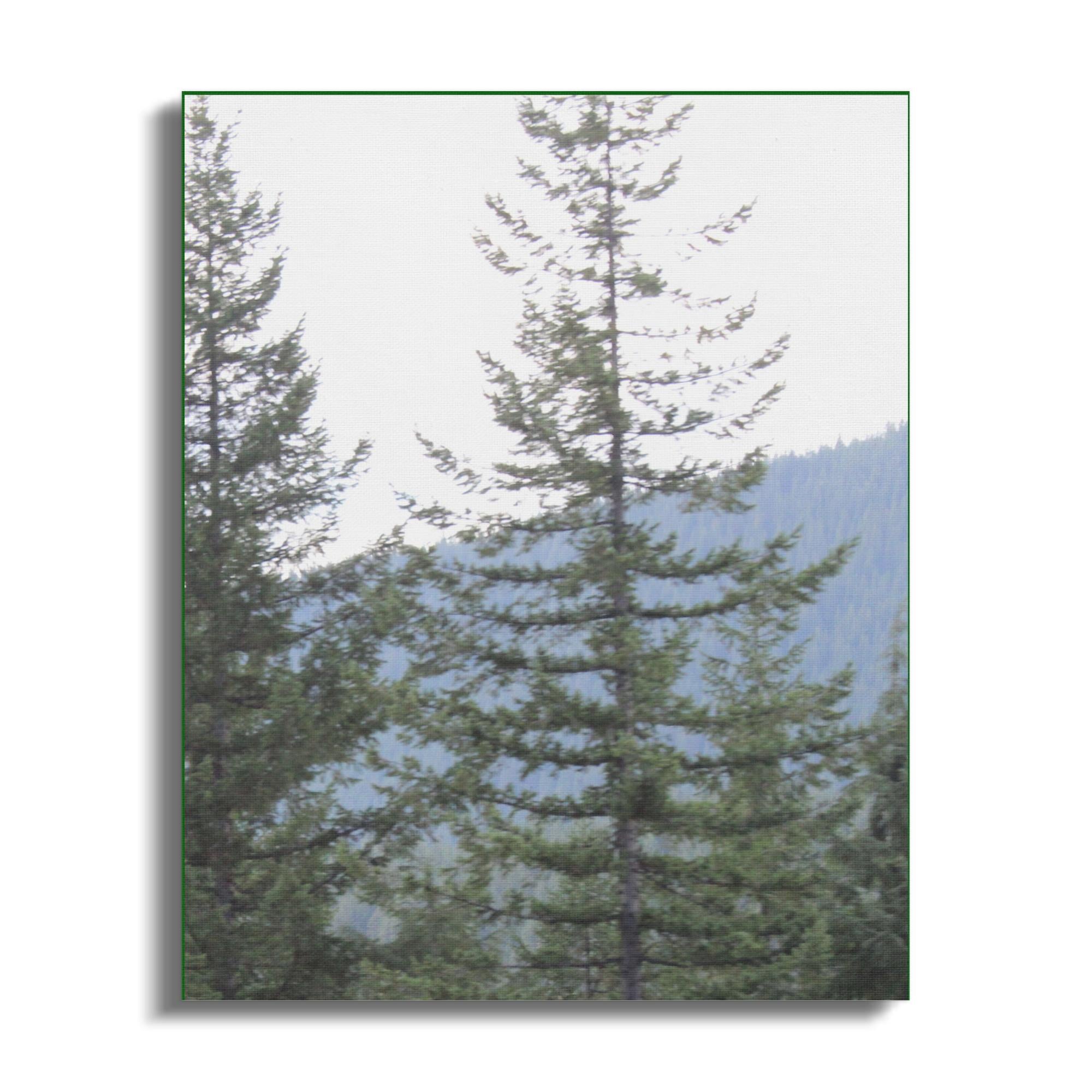 014edbba-677a-4c5d-ad08-22f4c8d86663