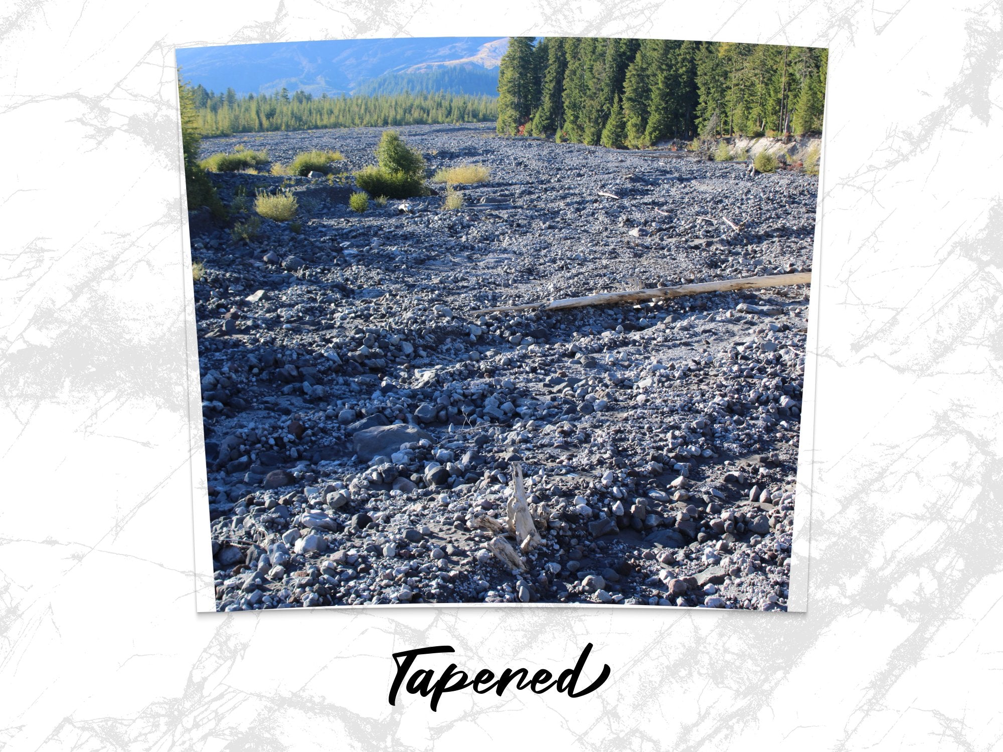 01513f33-549b-4138-a014-1026863f180a