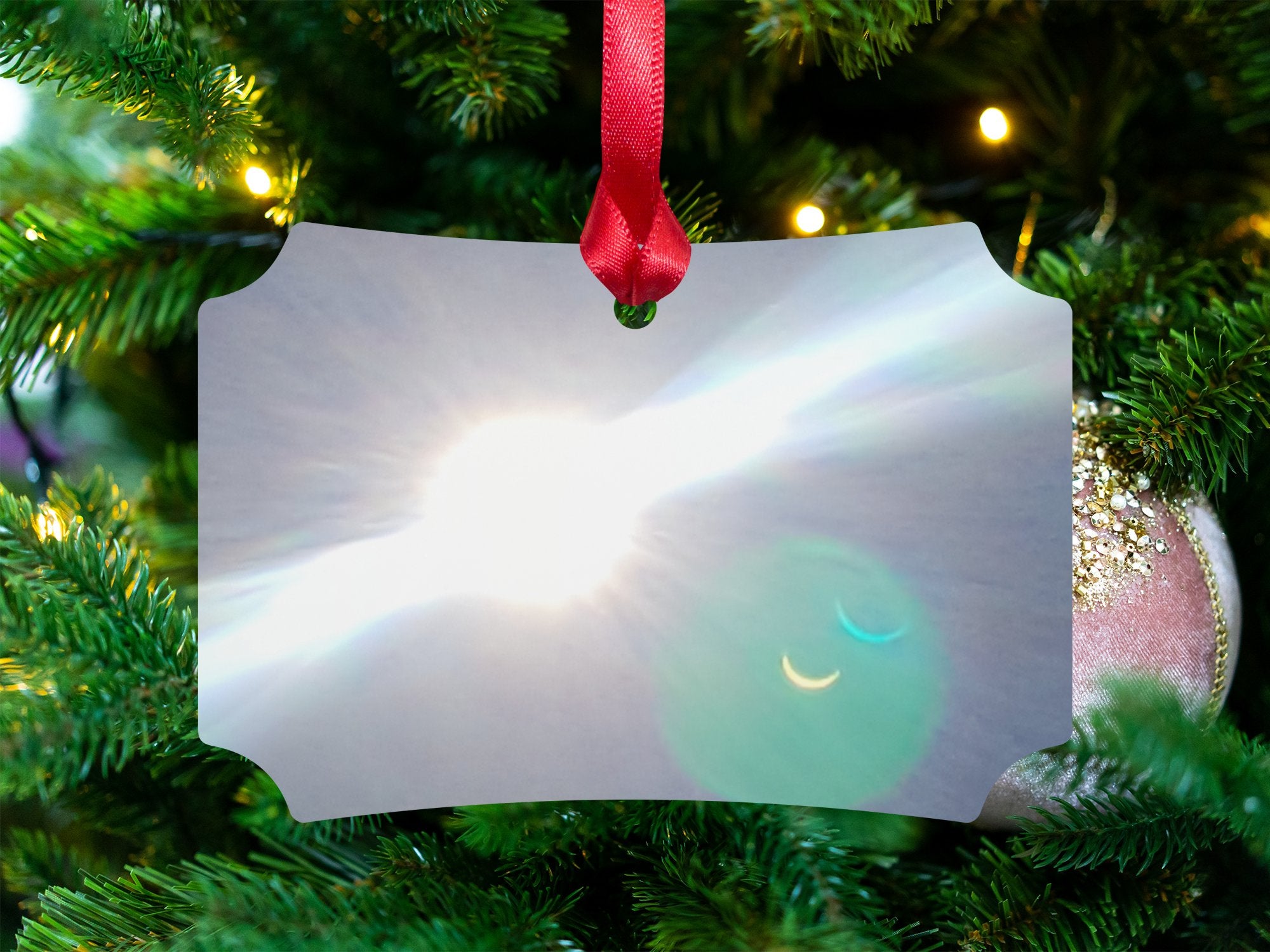 02649a8b-5c75-497e-832e-0397f7fee557