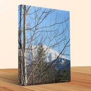 02a9ab83-6cde-428e-b79e-6b9ab5e00a61