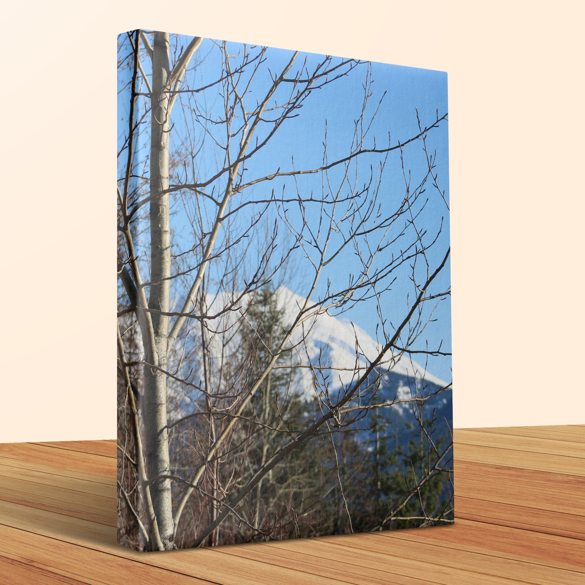 02a9ab83-6cde-428e-b79e-6b9ab5e00a61