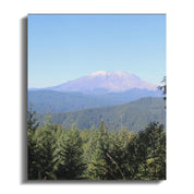 02b1da5f-01f3-450c-9685-9a42e96b6a54