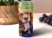 034485d3-e69d-4c8a-aa32-7d9468bd2427