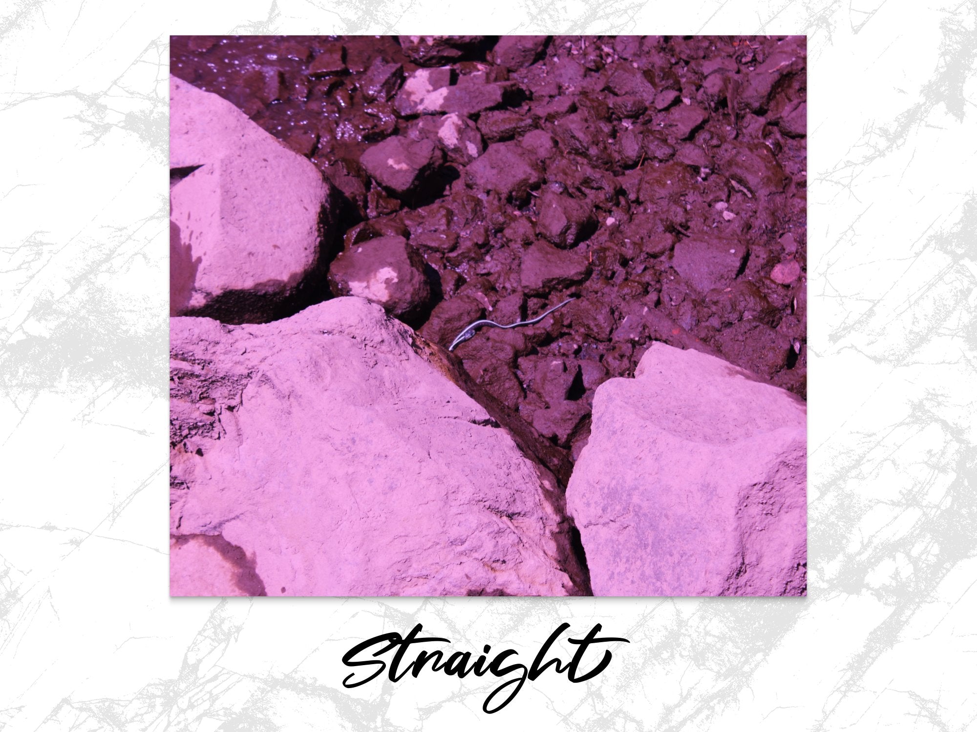 0359c986-b4f2-4f0b-9bba-ee64f2f5baca