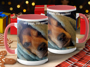 03e5e77f-1ca8-46db-8a1a-9495dd4aaeba