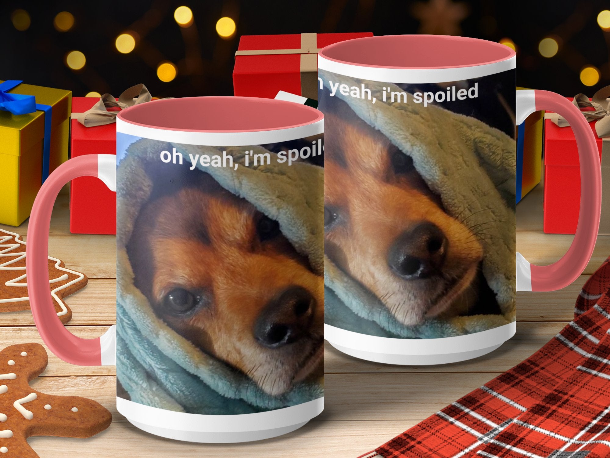 03e5e77f-1ca8-46db-8a1a-9495dd4aaeba