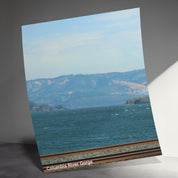 03e9dd7f-0dc0-45f4-b454-9e872b4707d2