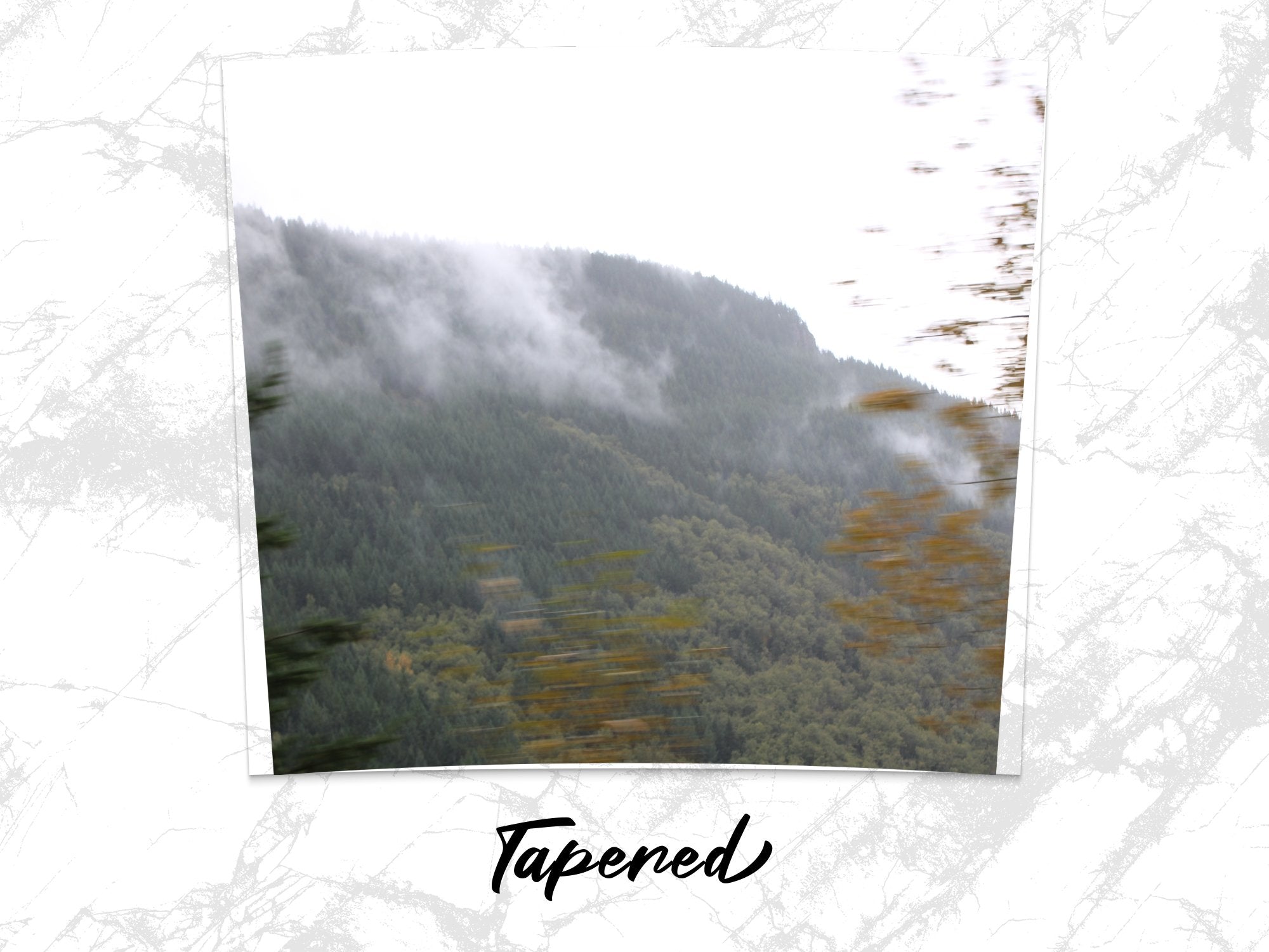 047c7994-b3c2-4ded-bb42-95e47edd618a