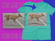 04dfa044-43ec-4705-a301-858ab9af4128