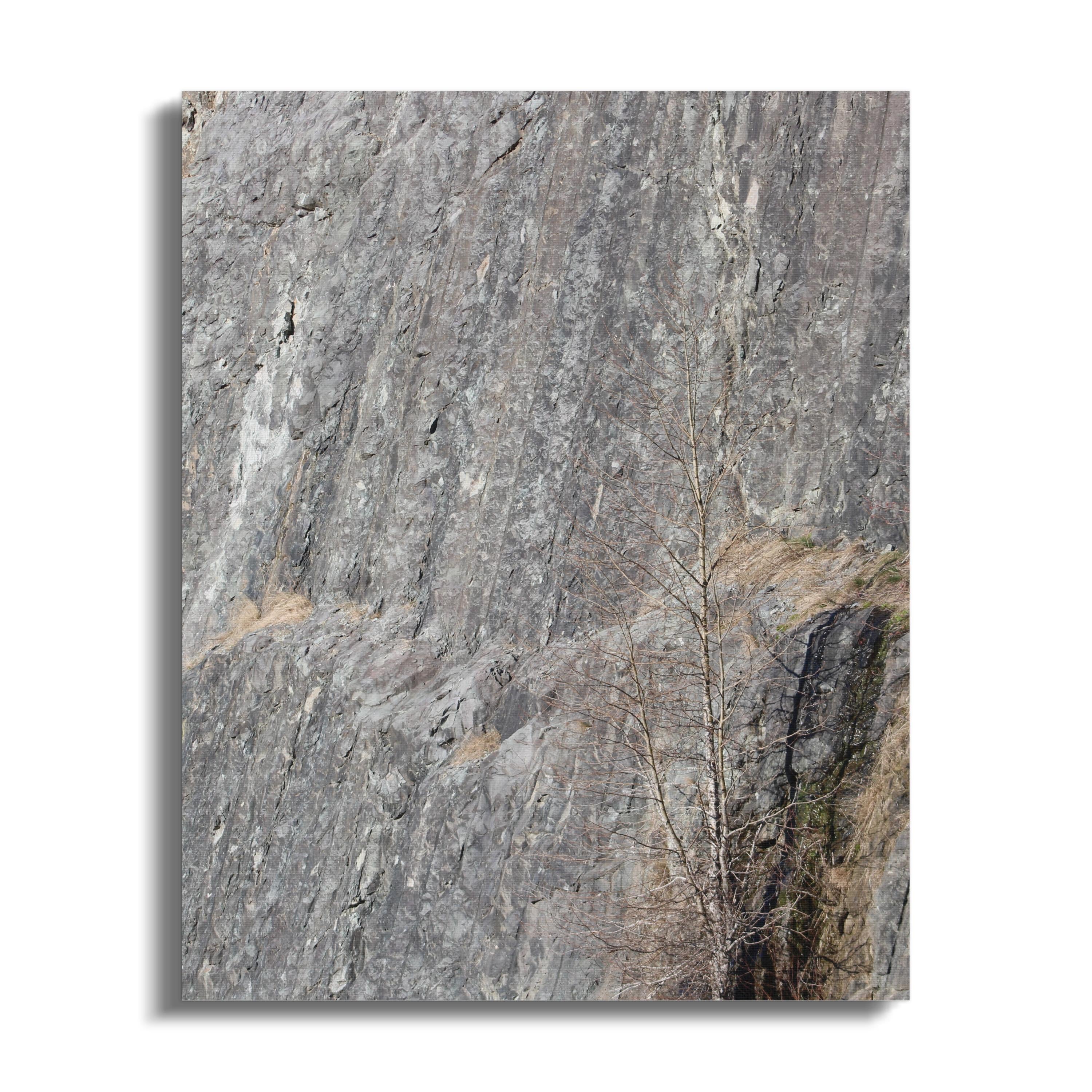 0517bdb9-2a54-463f-abda-19135186fa71