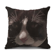 052862dd-f68c-47f0-bdbe-4a0fea089081