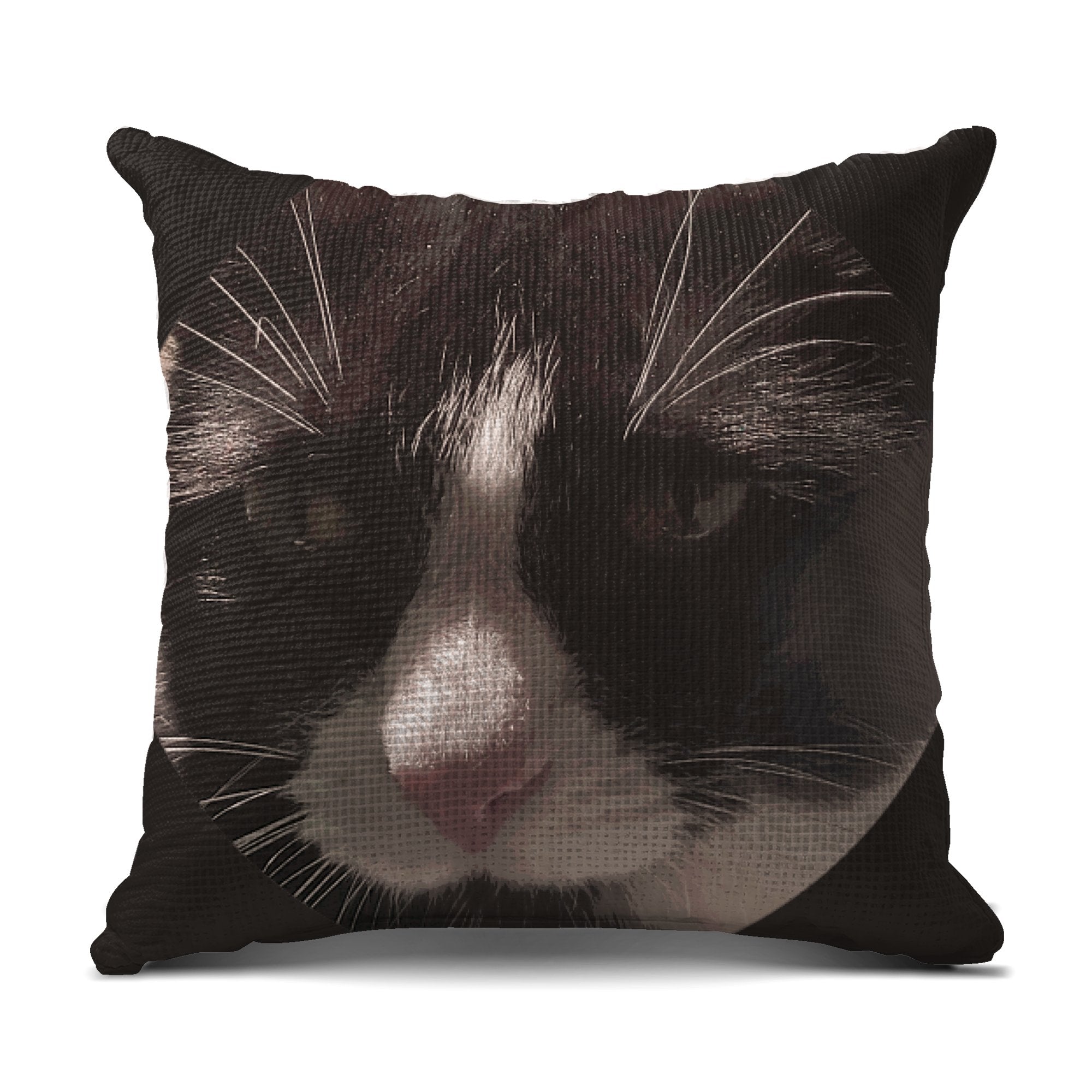 052862dd-f68c-47f0-bdbe-4a0fea089081