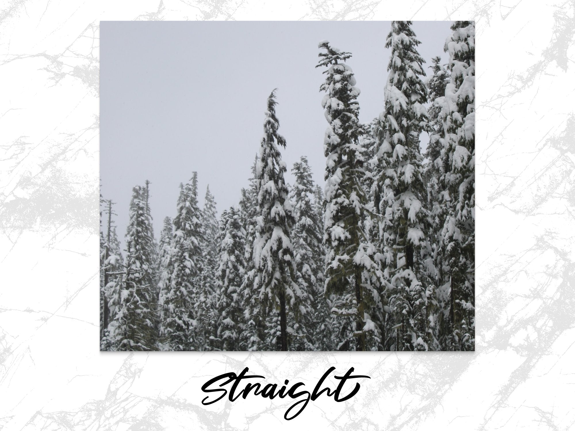 05a11ab9-97ab-4c07-8ab0-b3c0599c7a48