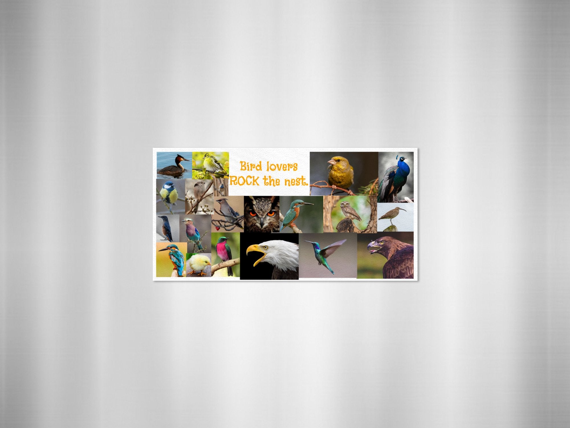 05d0050b-85eb-4a6c-80cb-ea32e4193828