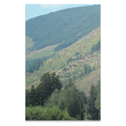 05e25da5-8242-4cb0-ae05-47fb084cea22