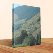 07002584-5b20-405a-8518-e5865fad43d6