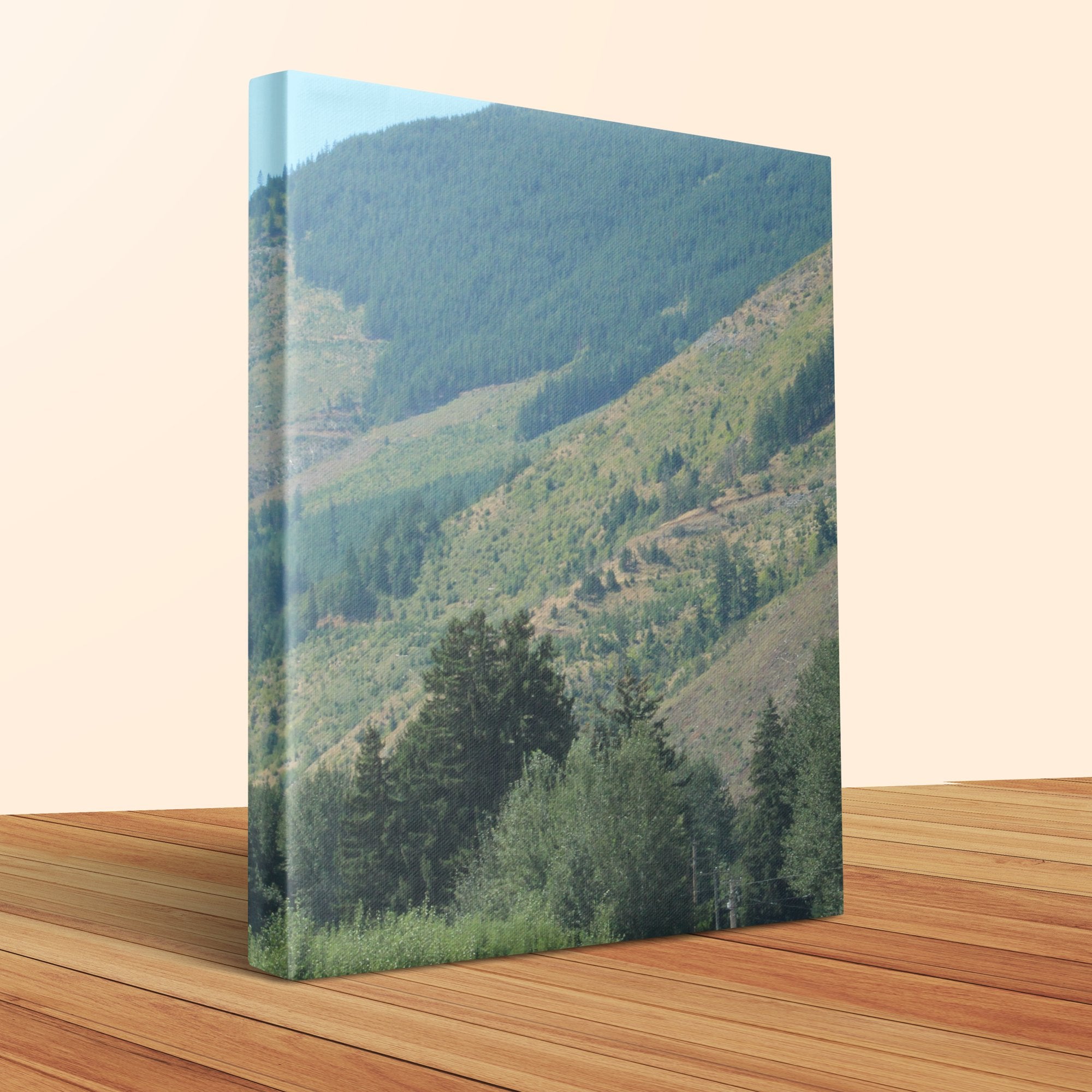 07002584-5b20-405a-8518-e5865fad43d6