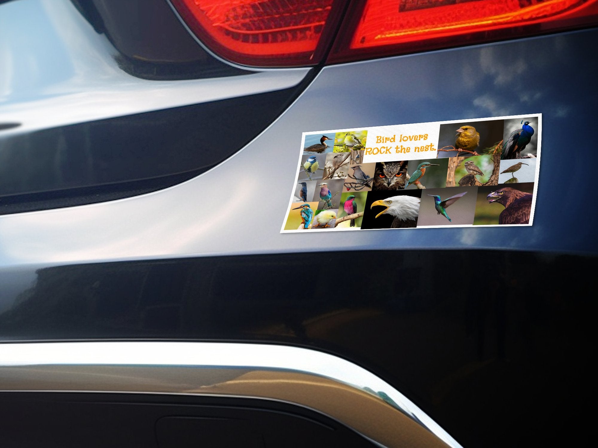 0712eff1-ed6d-47bb-adac-d094a7077727