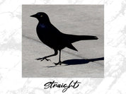 0737071c-daeb-4f2c-94de-3aef2da70cf3