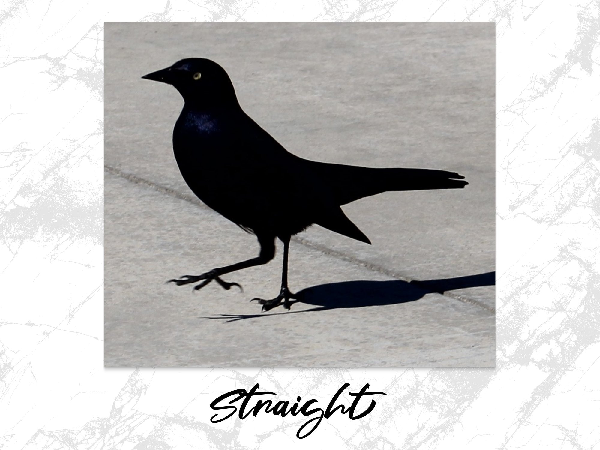 0737071c-daeb-4f2c-94de-3aef2da70cf3