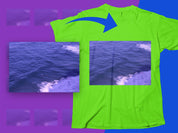 07c8dbb0-f47c-40c4-8618-c53e76134d04