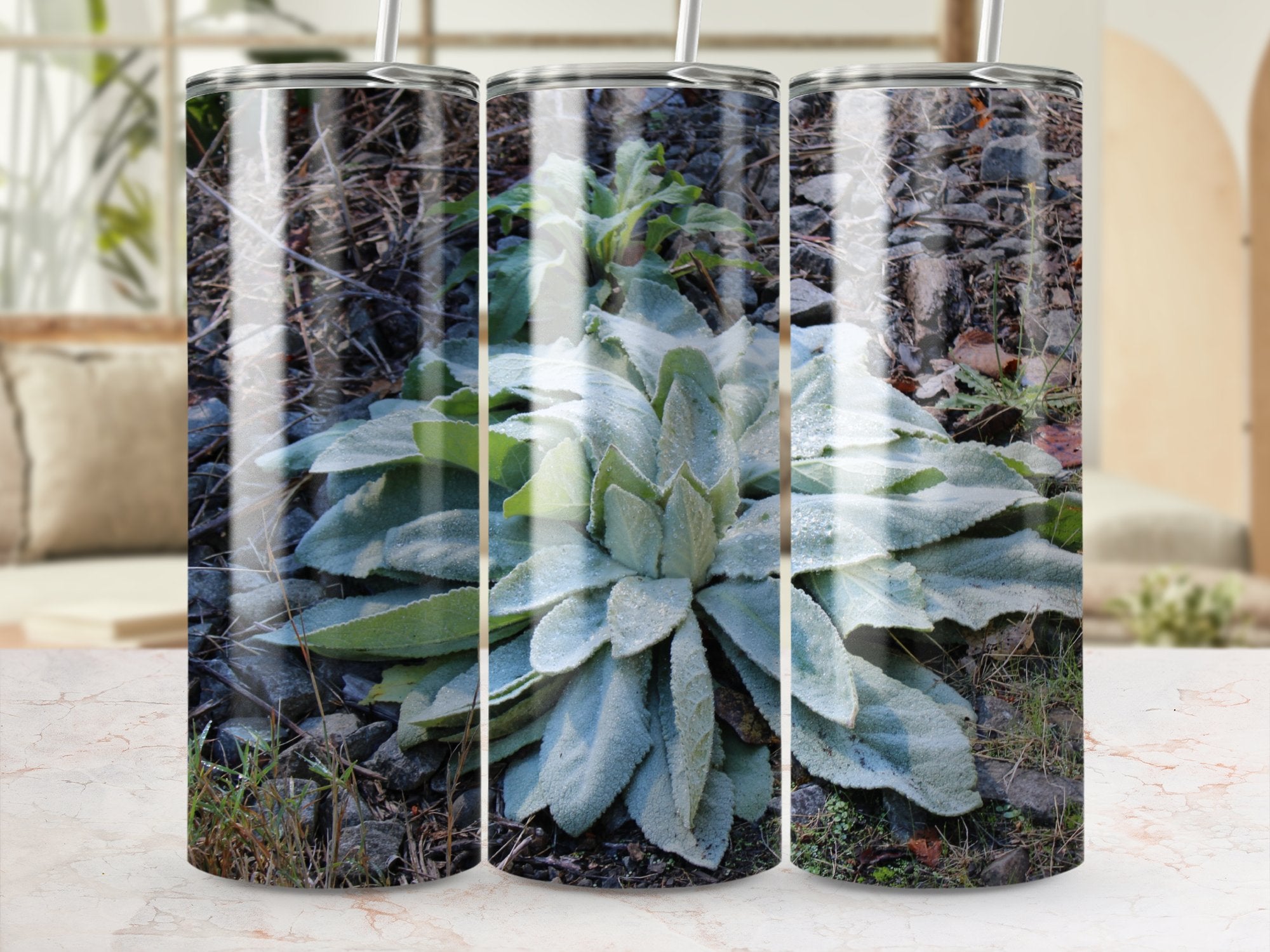 0870b061-c9d7-4702-9658-74d1663f190a