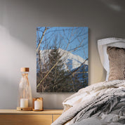 093a0c10-bad3-4d7c-b535-b1d93b82ba39