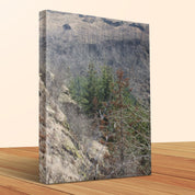 09649d3d-980d-4667-942a-c7116b173750