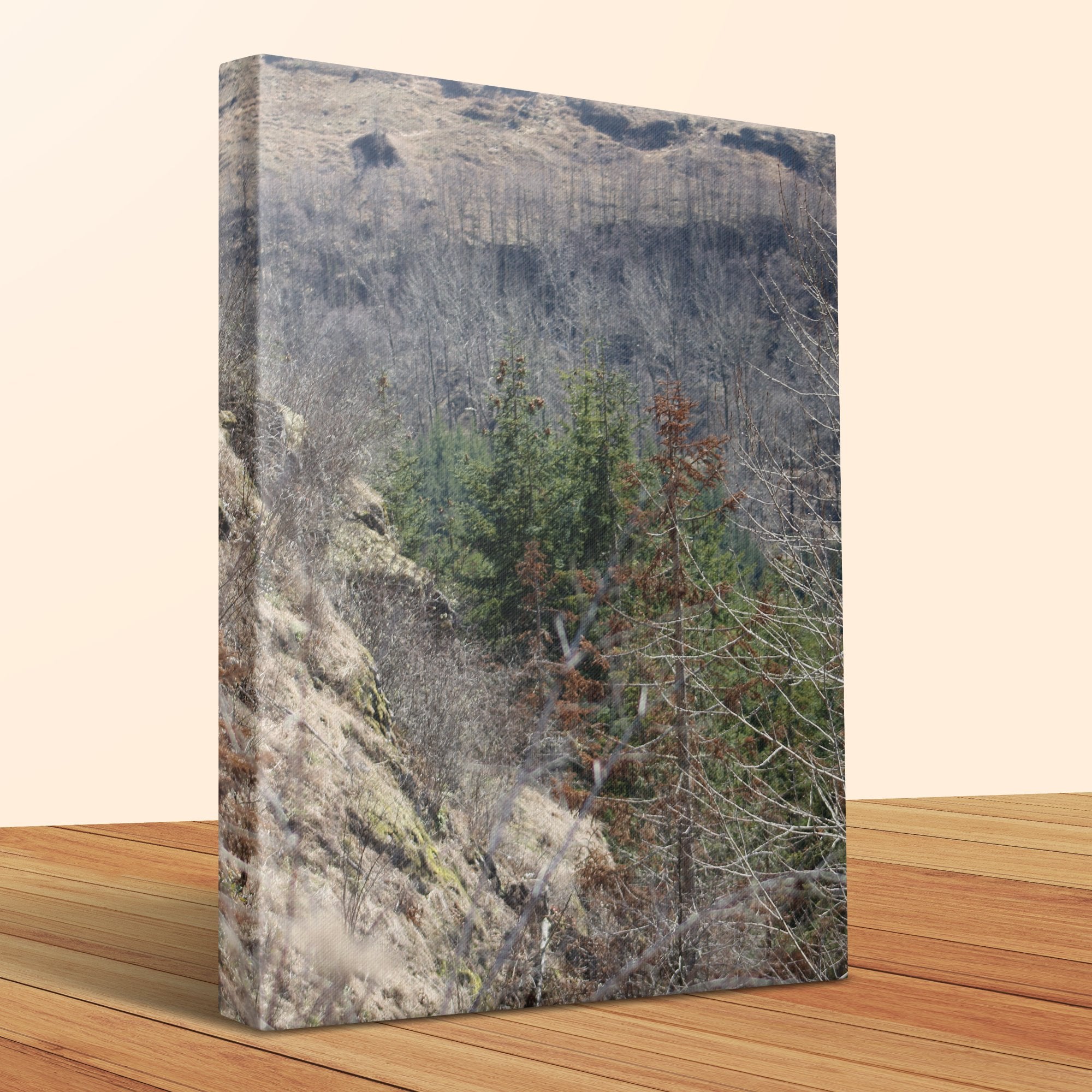 09649d3d-980d-4667-942a-c7116b173750