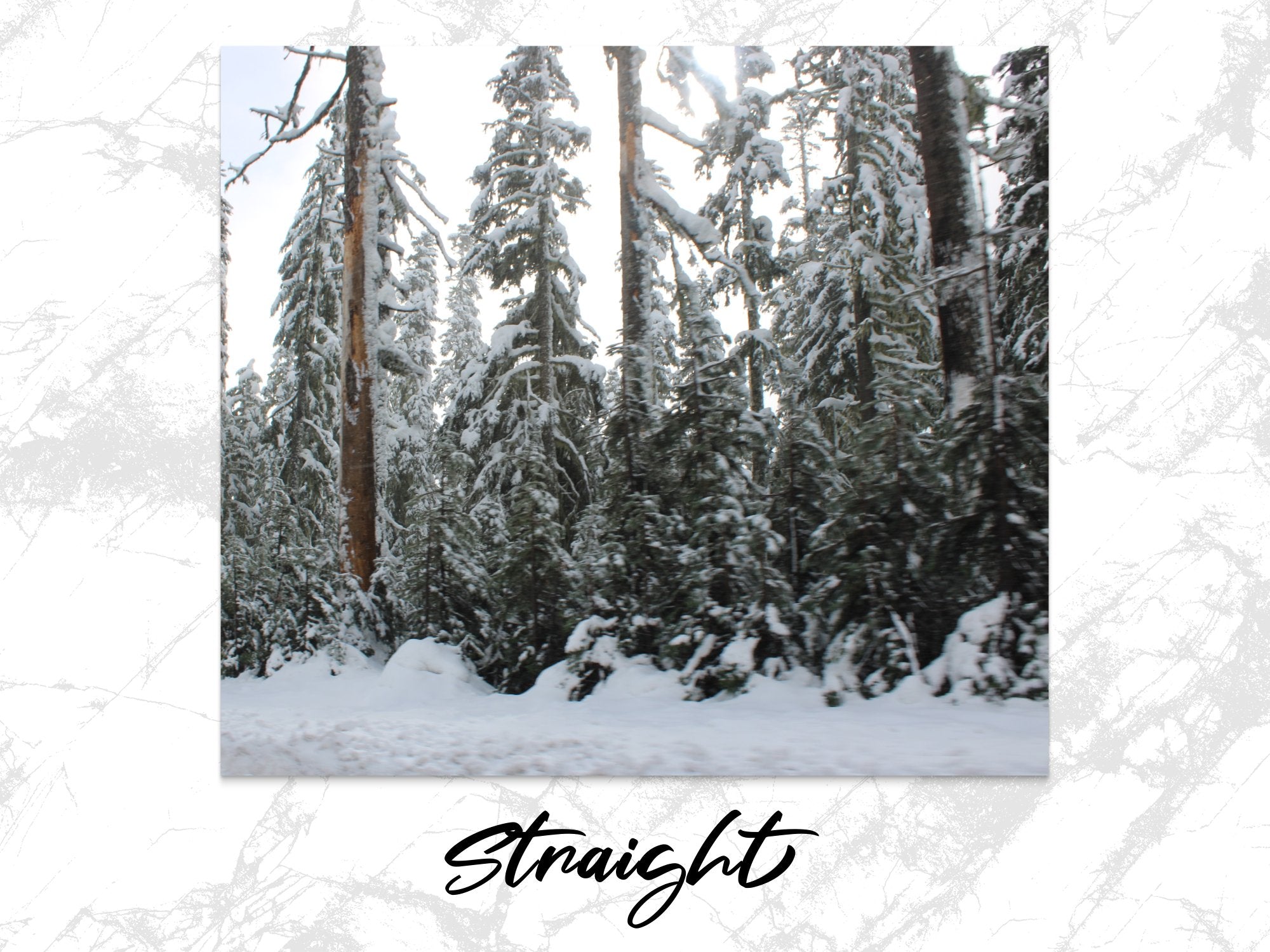 099c7d0f-2f68-4c5f-81de-d3c7b12148a8