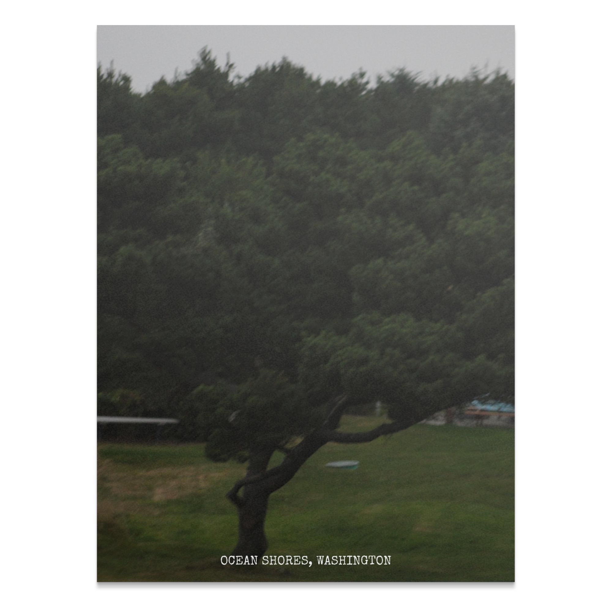 09bc5667-be6d-4e07-b0e2-fb54aaa579db