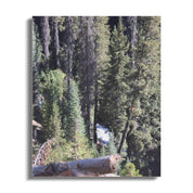 0a1e9395-0590-4ba4-9450-eafef3d5c117