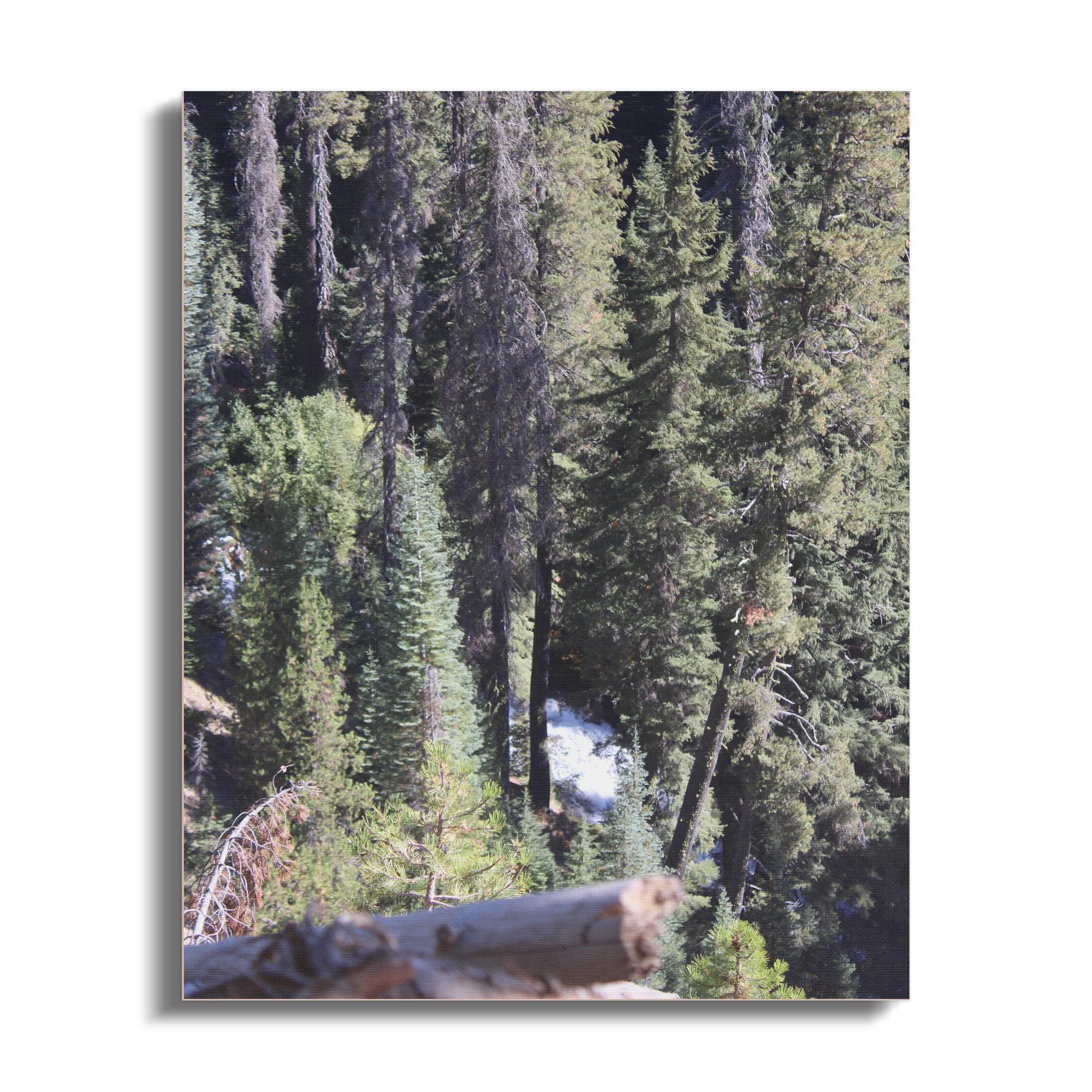 0a1e9395-0590-4ba4-9450-eafef3d5c117