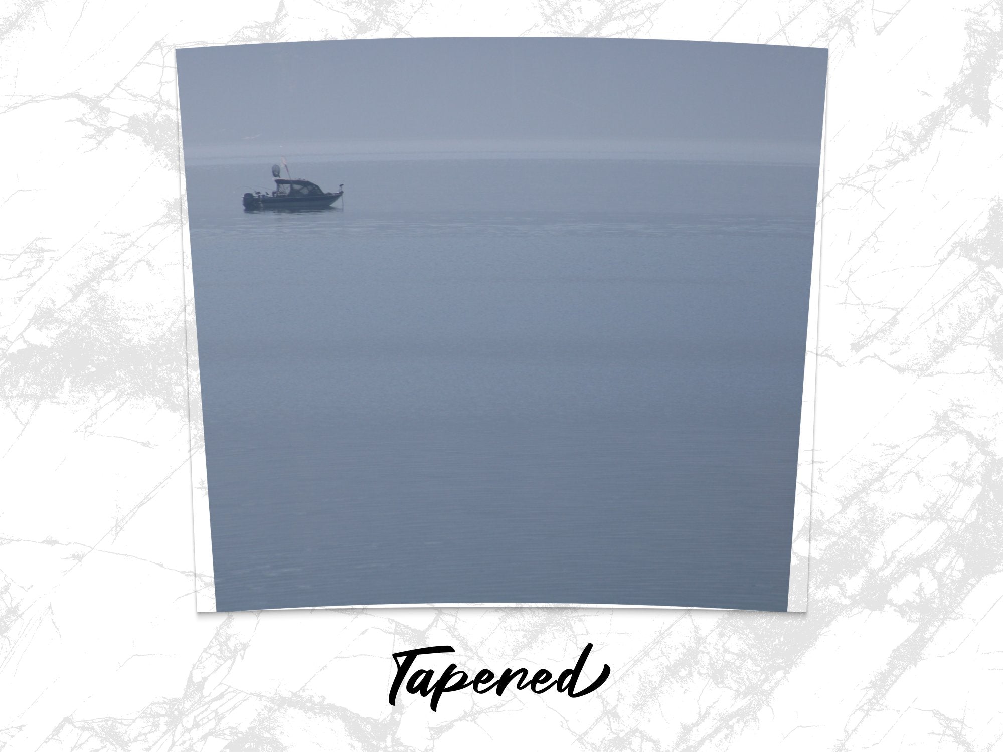 0a38d1b6-678b-4ab5-8c3f-ff2663a31371