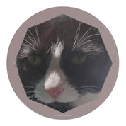 0ae2c7b5-58e6-4acc-ab72-bba3982e8d1c