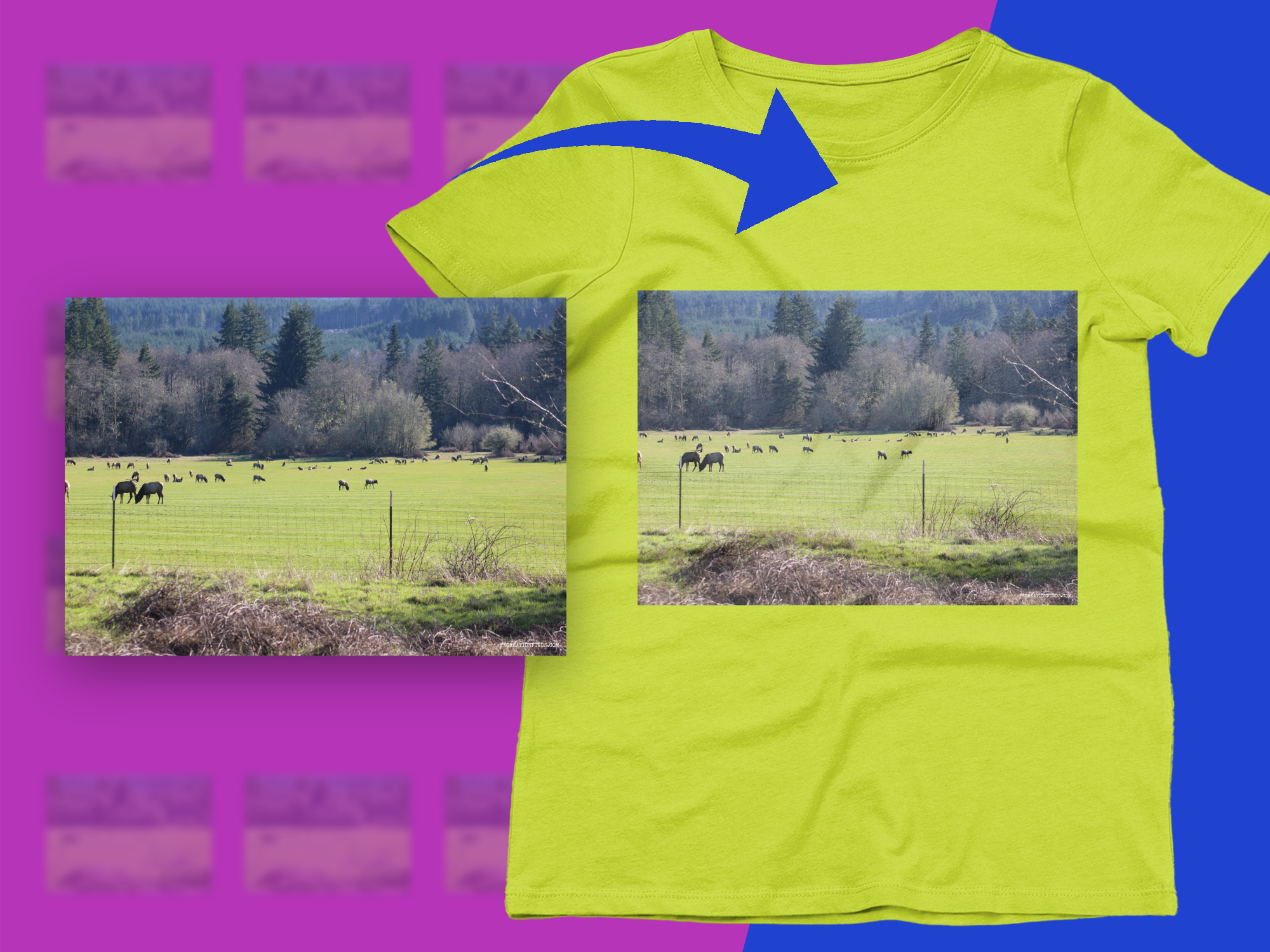 0b25b1e7-f62d-4c8a-b043-2ffa9fcc657a