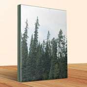 0b2b460b-c9e9-4836-b3d1-5c26645c9748