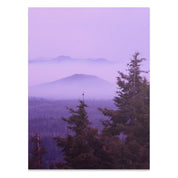 0baa71f6-89dc-4fab-9993-437077a71fff