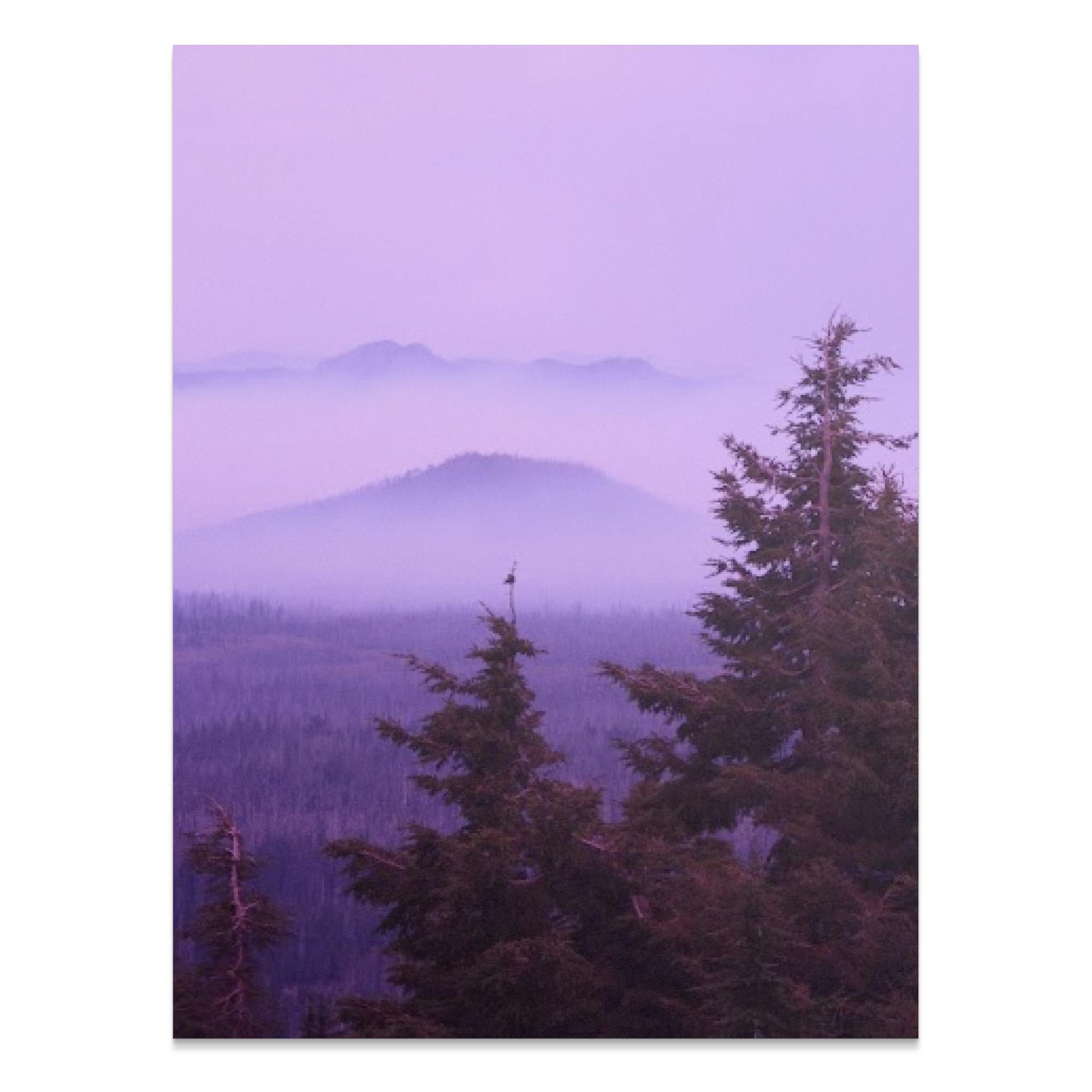 0baa71f6-89dc-4fab-9993-437077a71fff