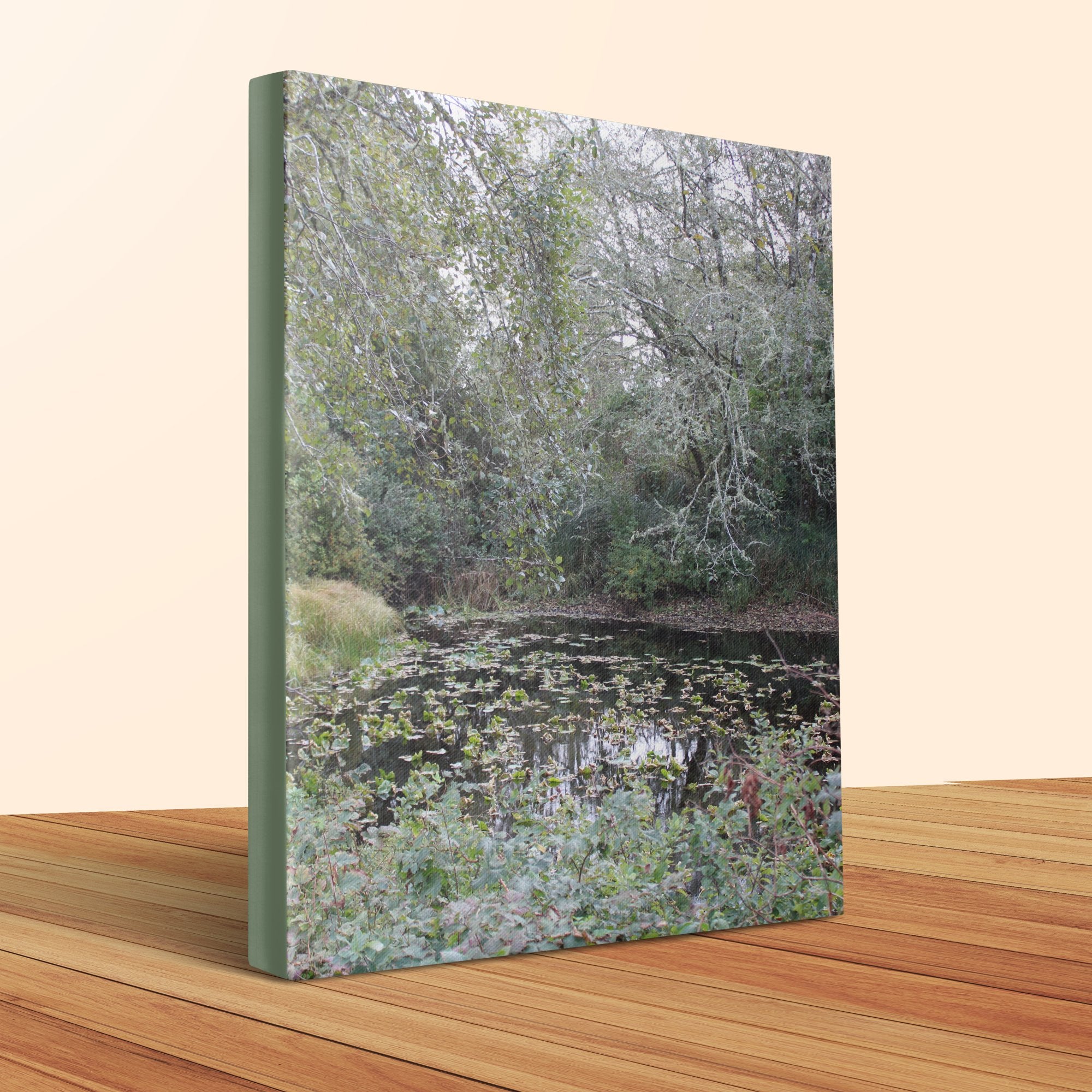 0cd36bb9-f599-4ae9-ae54-3fea8162812c