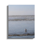 0cf943af-ba4a-4ad1-888f-5fa6396ffa51