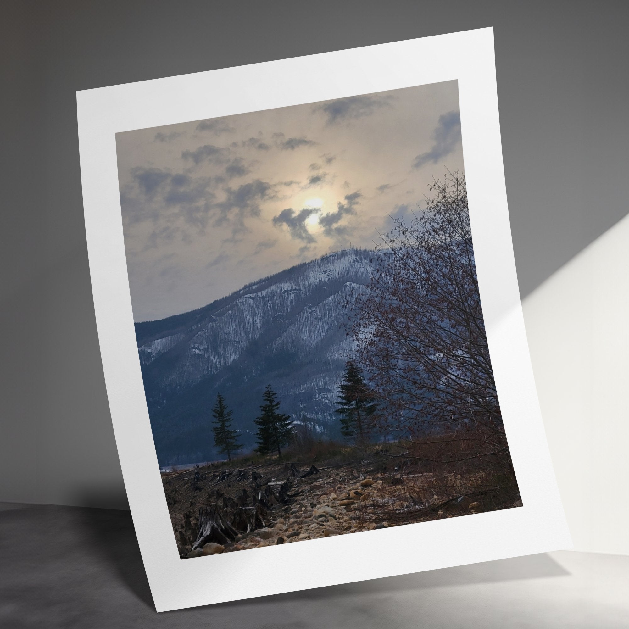 0d50c78c-fa1b-4dd9-9a79-56232f8c3bcd