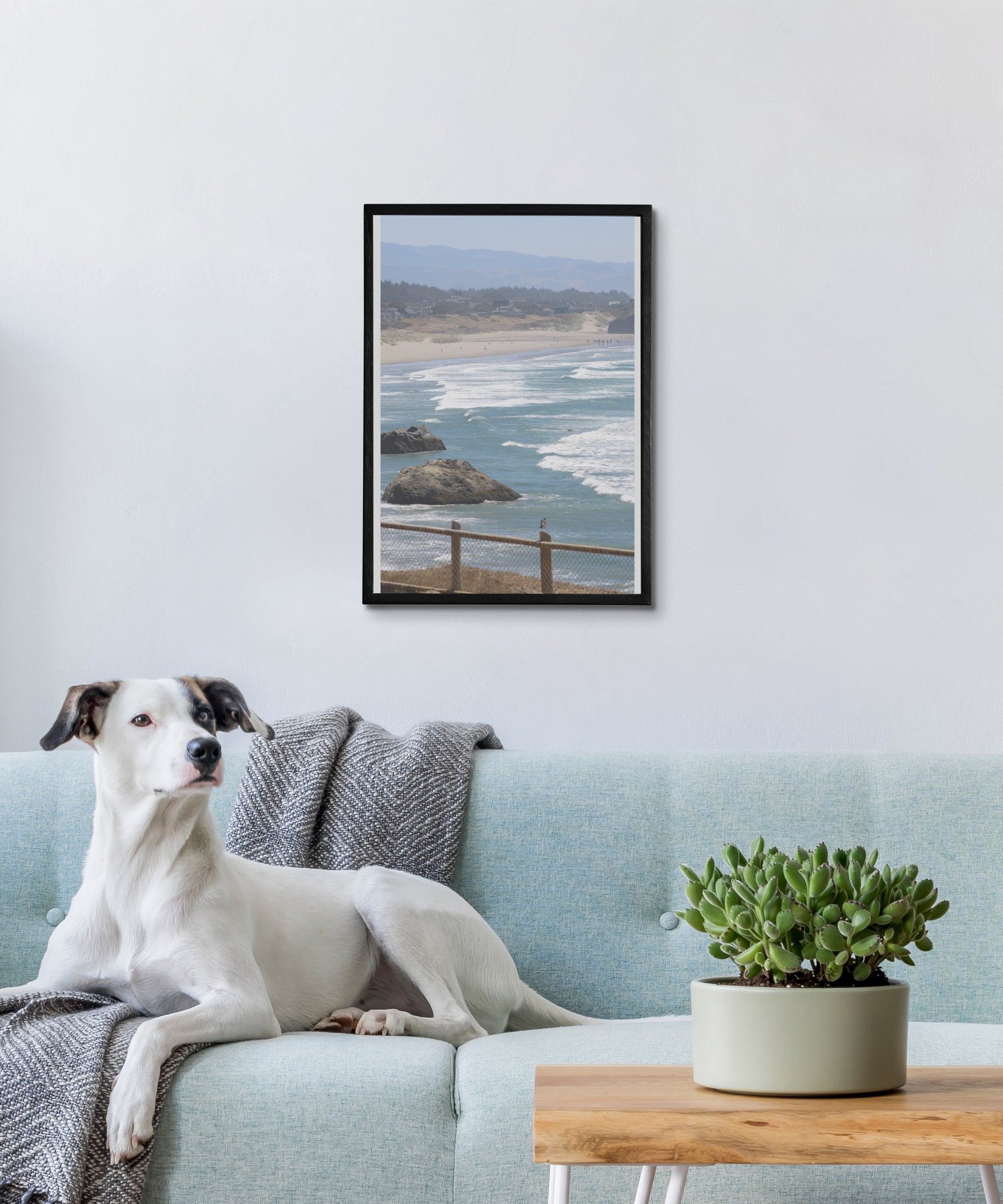 0d9a26e5-faba-4e1e-a065-9ef412522a01