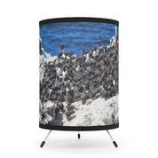 Coastal Bird Gathering Scenic Sun Shade