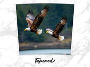 0e346212-bf47-4f56-ab7a-28bfbb5ec53e