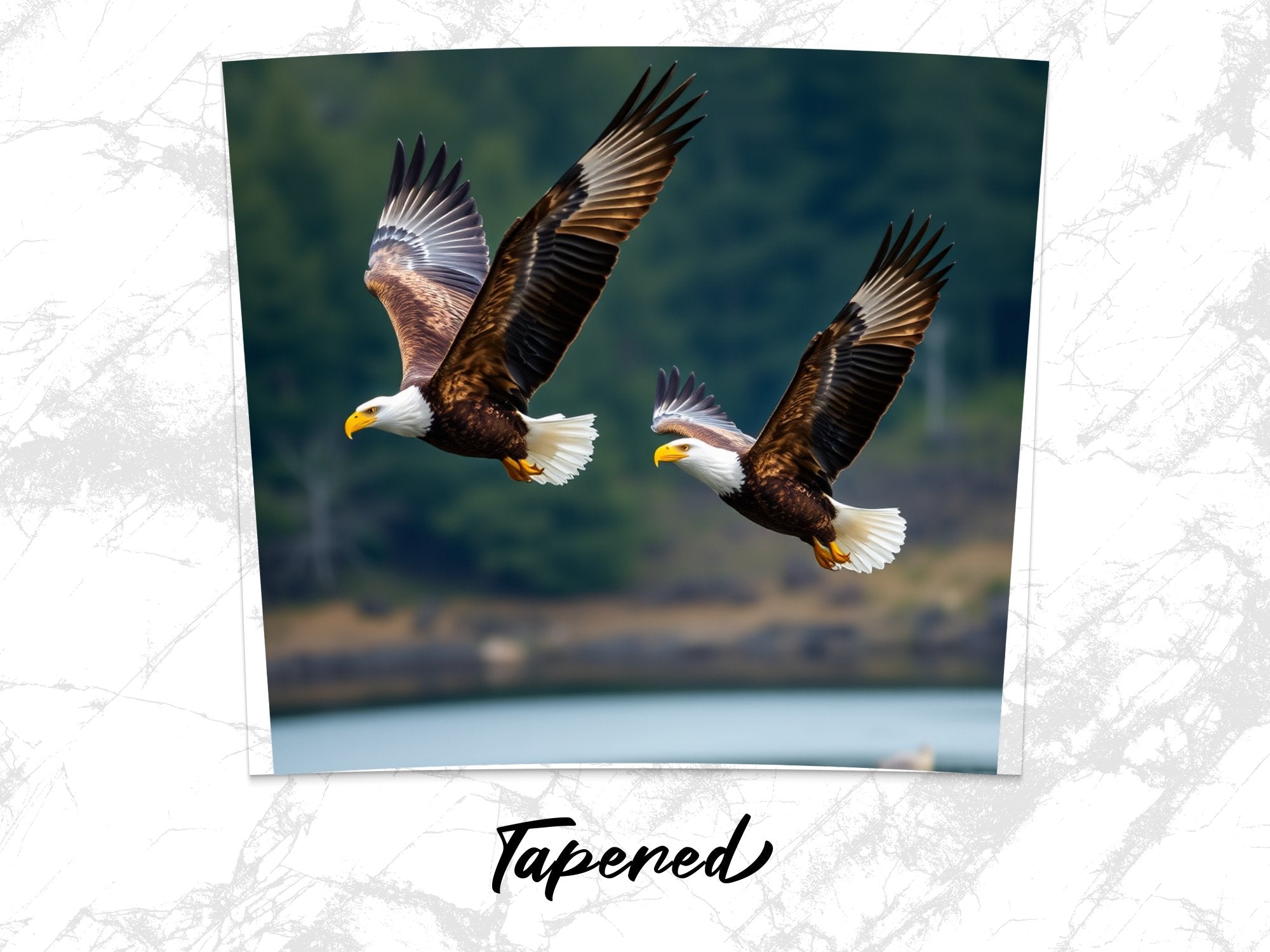 0e346212-bf47-4f56-ab7a-28bfbb5ec53e