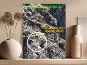 Mt St Helens Washington Potassium Sulfate Volcanic Sulfer product