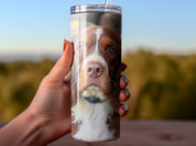 0f25ceb7-65bb-4fc5-9e74-72a383919947